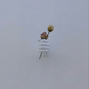 三级片视频播放
