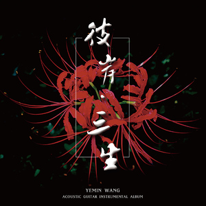 三级片视频播放
